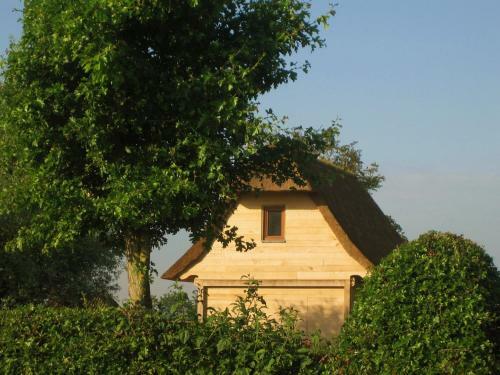 Sint-coryn