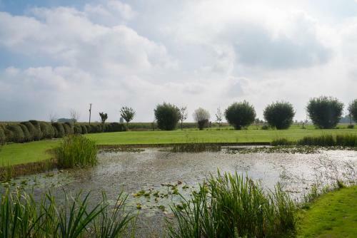 Sint-coryn