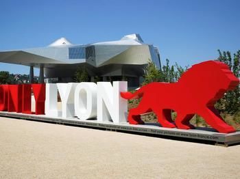 Hotel Ibis Lyon Gerland Merieux