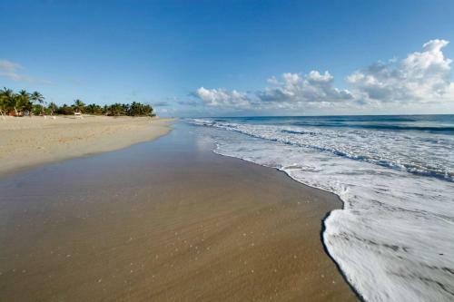 Hotel Viva Wyndham Tangerine - All Inclusive