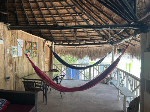 Hostal Eco-conscious Oasis Punta Arena 04