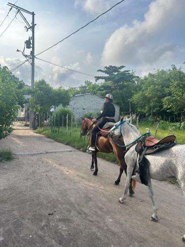 Ecohostal + Ecofit Natura1