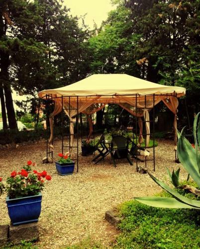 Hotel H�tel Le Patriarche