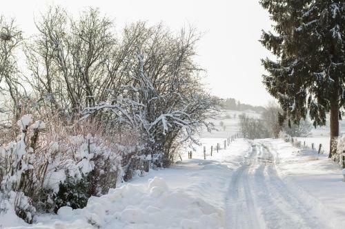 B&B Le Verger Du Pierroy