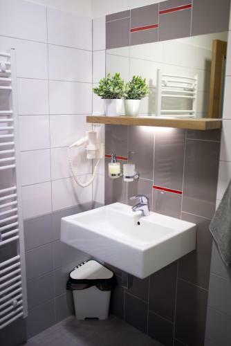Hotel Penzion Zubr