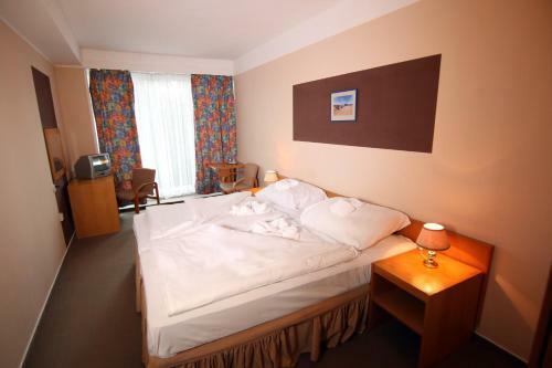 Hotel Medlov