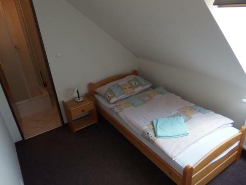Hostal Penzion U Stud�nky