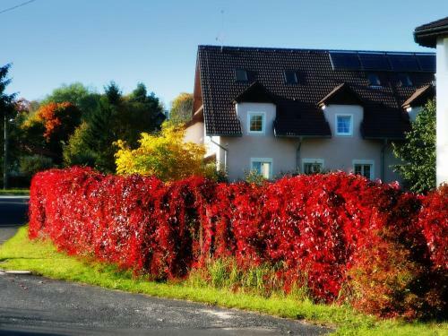 Hostal Penzion U Stud�nky