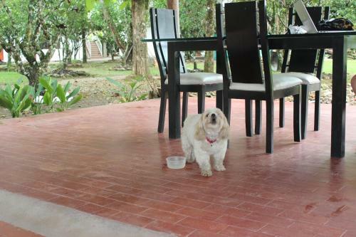 Agroturismo Caba�as Campestres La Aurora Del Llano