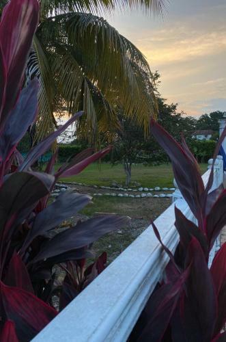 Agroturismo Caba�as Campestres La Aurora Del Llano