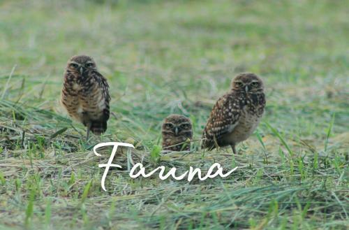 Agroturismo Ruztico Glamping