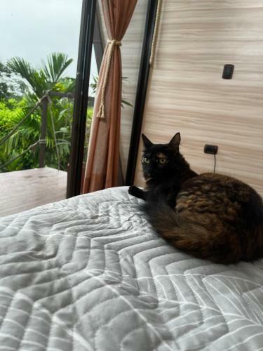 Agroturismo Ruztico Glamping