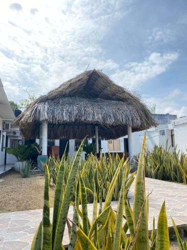 Hotel Hostal El Danubio Tolu