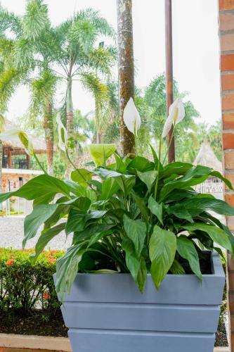 Hotel Campestre Palma