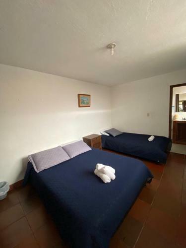 Hostal Casa Naturhola