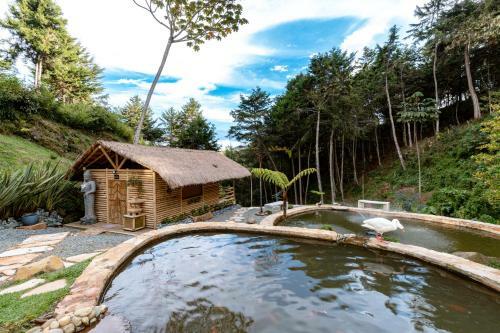Hostal Zen Medellin Satori
