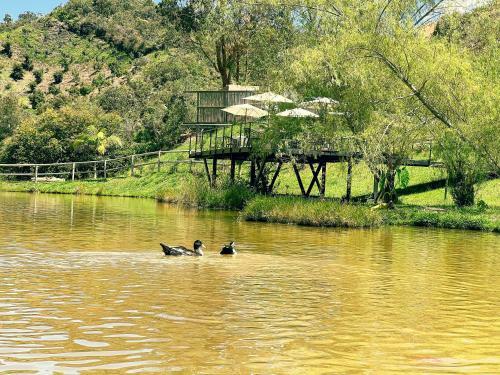 Aparthotel Los Lagos De Jas�