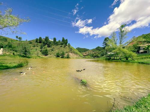 Aparthotel Los Lagos De Jas�