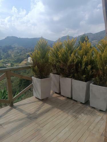 Caba�a Con Jacuzzi/zona Bbq Y Malla Catamar�n En Guarne