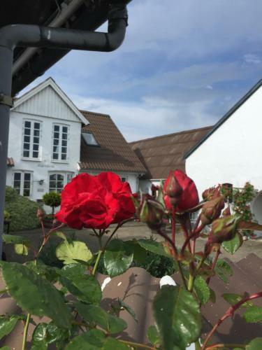 Vejle Golf Bed & Breakfast