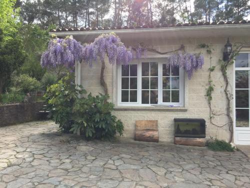 Bed & Breakfast Agro Da Gandarela