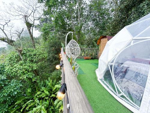 Glamping Mirador Colina.