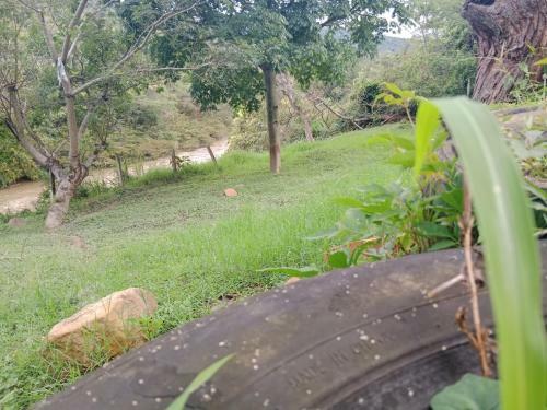 Apartamento Campestre Con Piscina Villa Lucy