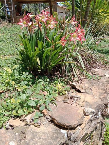 San Gabriel Ecologic