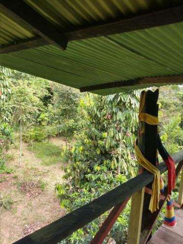 Hostal Lom�n De Los Zipas Amaz�nicos