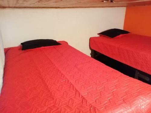 Albergue Viedonaire
