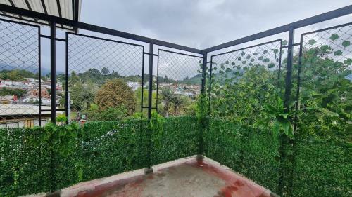 Casa Selah - UNA Pausa Entre Caf� Y Monta�as
