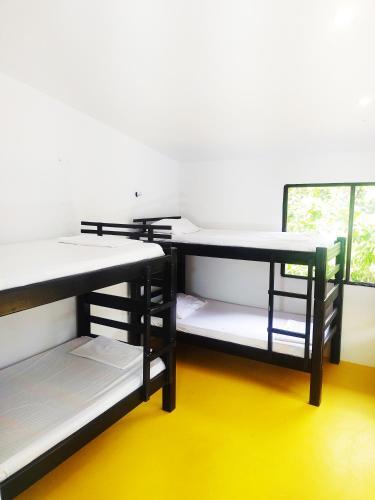 Hostal Amalaya Hostel