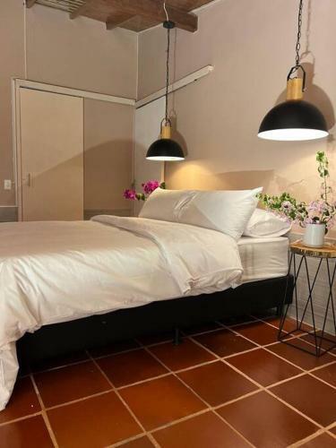 Finca Completa Piazza Bella - Aeropuerto Mde