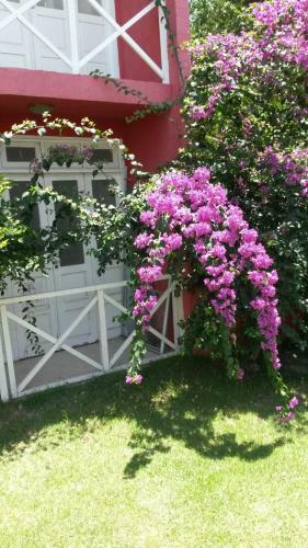 Hostal Pousada Macamirim