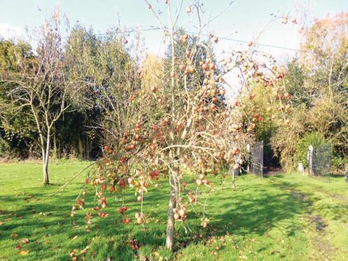 Holiday Home Honfleur Chemin Des Monts