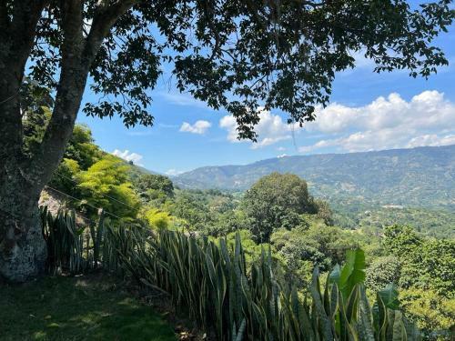 Casa Con UNA Vista Incre�ble A La Ciudad