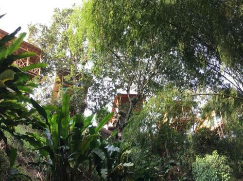 Biohotel Serenity Spa