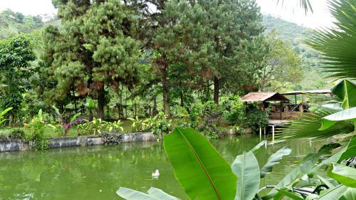 Bed & Breakfast Villa Migelita Ecolodge