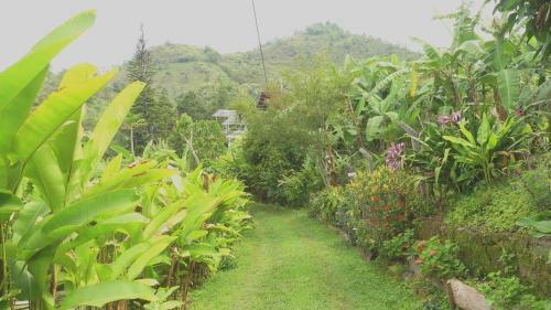 Bed & Breakfast Villa Migelita Ecolodge