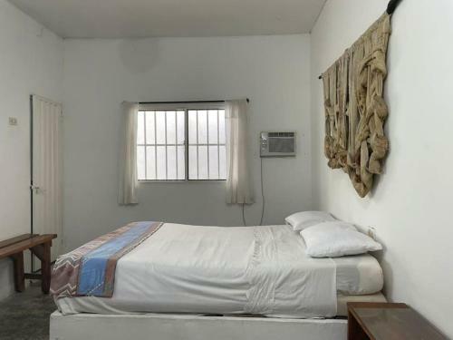 La Casa Del Franc�s Palomino