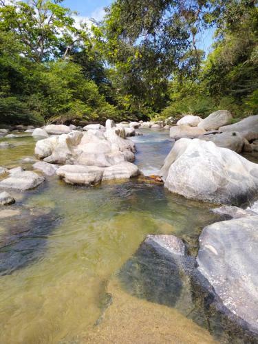 Hostal Flor Tayrona