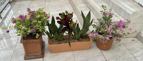 Casa De Vacaciones Santa Marta!