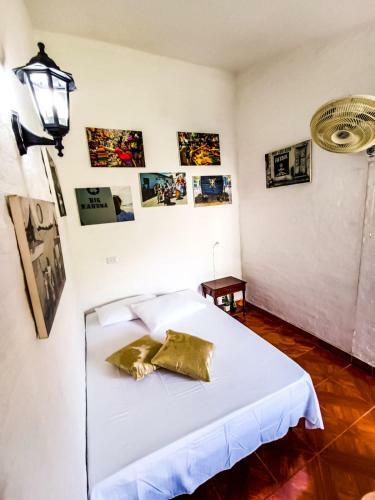 Melao Hostel Campestre Y Vivero