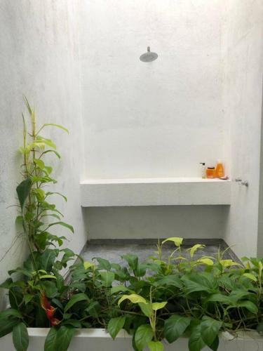 Villa Awesome Private Design House In Palomino