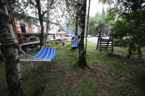 Orl� Vrch
