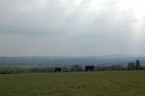 Findus House, Farmhouse Bed & Breakfast