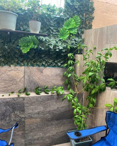 Apartamento Samaria 203b - Bello Horizonte