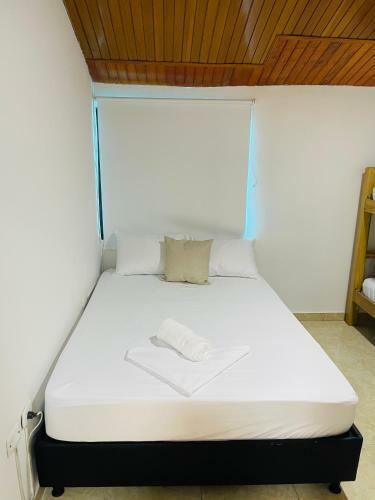 Hotel Tamaca House