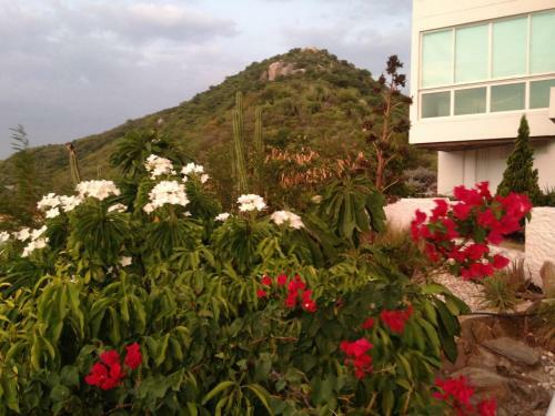 Apartamento Areia Beach Paradaise