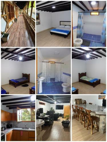 Finca La Esperanza Pereira
